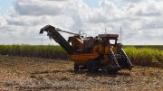 cuban-agriculture-production