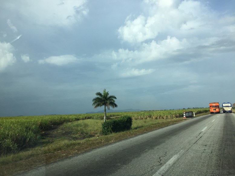 Granos-Sur-del-Jíbaro-agriculture